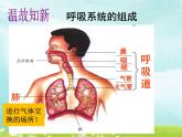 （人教七下）4.3.2 发生在肺内的气体交换 © 玖叁 课件