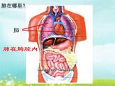 （人教七下）4.3.2 发生在肺内的气体交换 © 玖叁 课件
