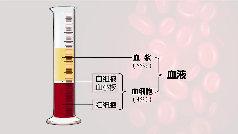 （人教七下）4.4.1 流动的组织——血液 by 风铃 课件08