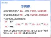 （人教七下）4.1.3 青春期 1 课件