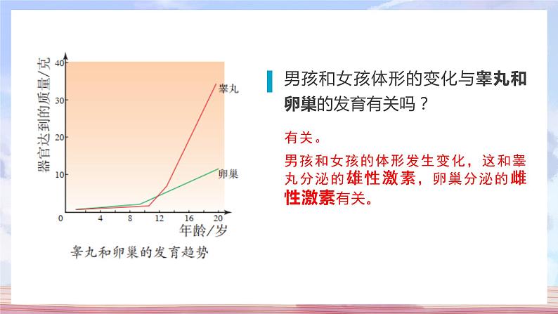 （人教七下）4.1.3 青春期 1第7页