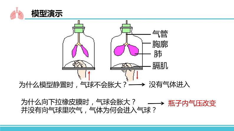 （人教七下）4.3.2 发生在肺内的气体交换 by丁香雨巷少女与梦  课件07