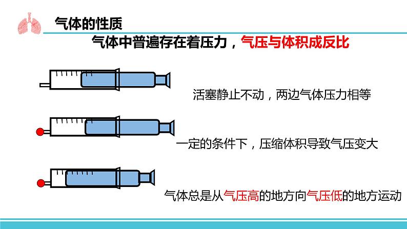 （人教七下）4.3.2 发生在肺内的气体交换 by丁香雨巷少女与梦  课件08