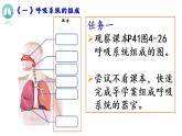 （人教七下）4.3.1 呼吸道对空气的处理  课件