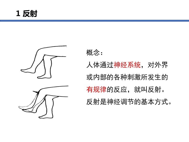 （人教七下）4.6.3 神经调节的基本方式 © FH 课件04