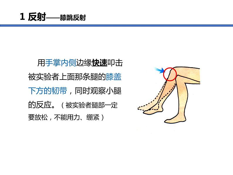 （人教七下）4.6.3 神经调节的基本方式 © FH 课件05