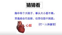 初中生物人教版 (新课标)七年级下册第三节 输送血液的泵──心脏图片ppt课件