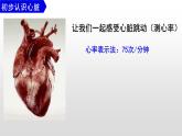 （人教七下）4.4.3  输送血液的泵—心脏 © 歪妹儿课件