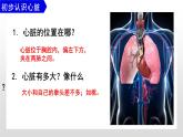 （人教七下）4.4.3  输送血液的泵—心脏 © 歪妹儿课件