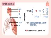 （人教七下）4.3.1 呼吸道对空气的处理 by 关老师课件