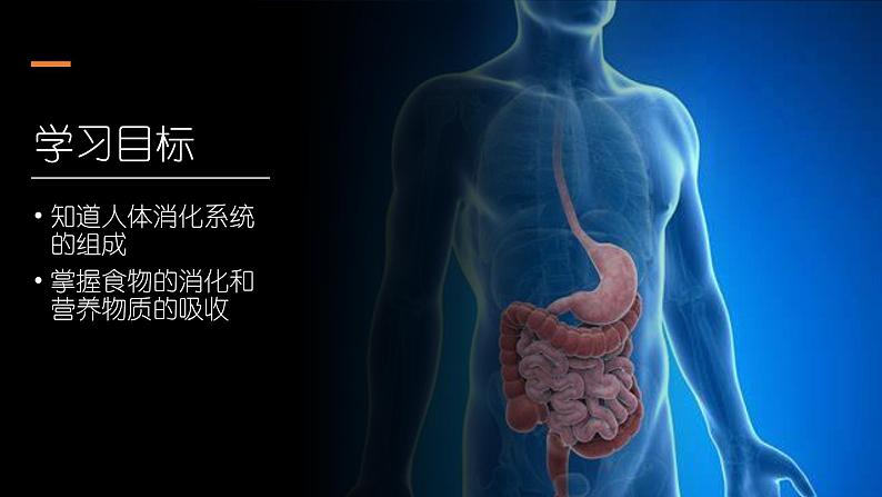 （人教七下）4.2.2 消化和吸收 2课件02