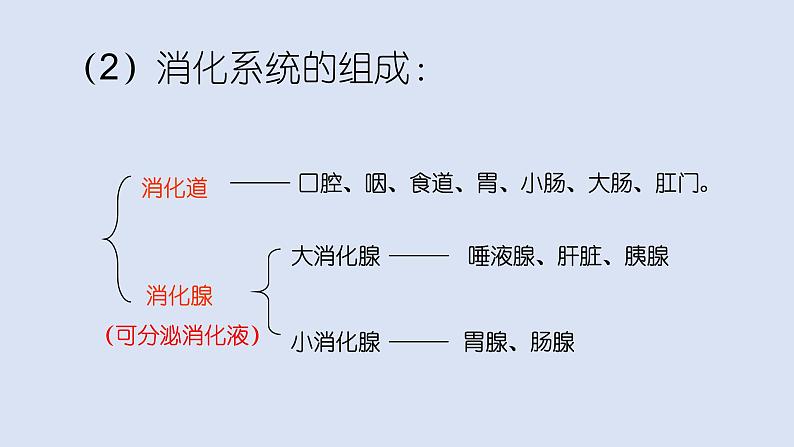 （人教七下）4.2.2 消化和吸收 2课件04