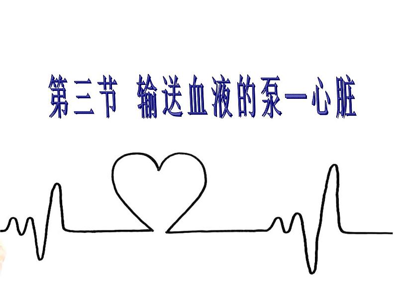 （人教七下）4.4.3 输送血液的泵心脏© 坞陵课件02