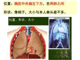 （人教七下）4.4.3 输送血液的泵心脏© 坞陵课件