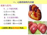 （人教七下）4.4.3 输送血液的泵心脏© 坞陵课件