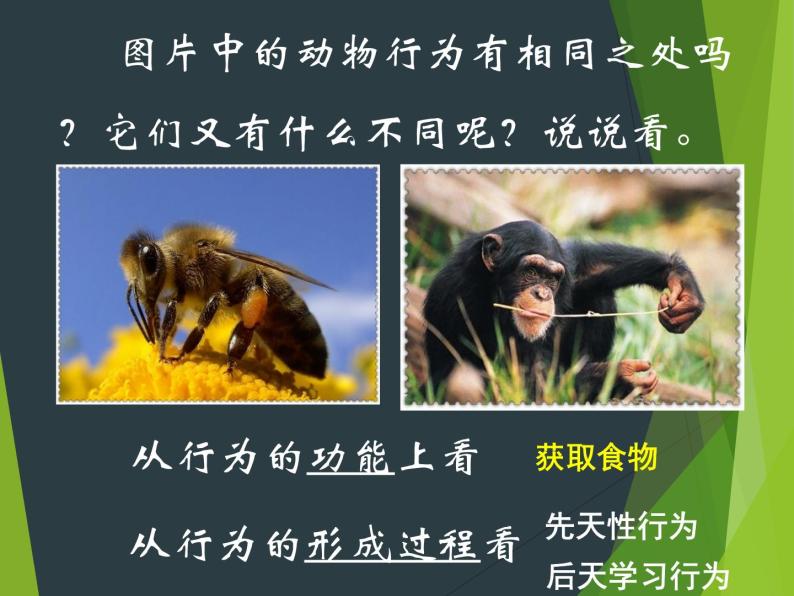 （北师大八上）5.16.1 先天性行为和后天学习行为 0课件05