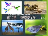 （北师大八上）5.16.1 先天性行为和后天学习行为课件