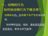 （北师大八上）5.16.1 先天性行为和后天学习行为课件
