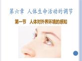 （人教七下）4.6.1人体对外界环境的感知（第一课时） by Kiki课件