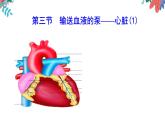 （人教七下）4.4.3 输送血液的泵——心脏 by 小薯课件