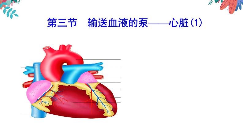 （人教七下）4.4.3 输送血液的泵——心脏 by 小薯课件第3页