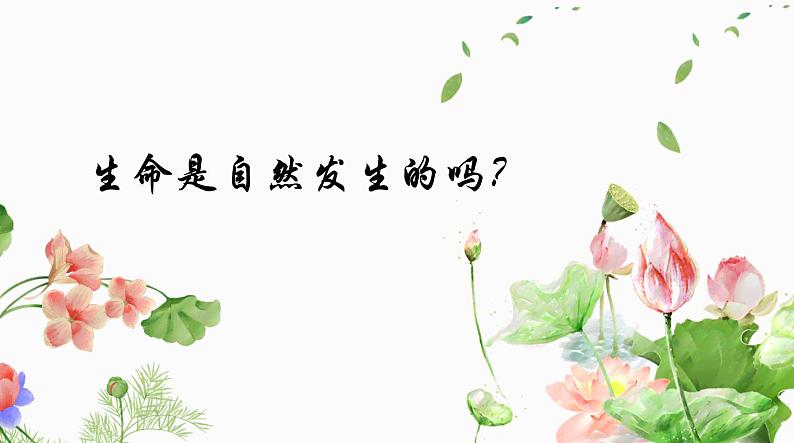 （北师大八下）7.21.1生命的起源课件07