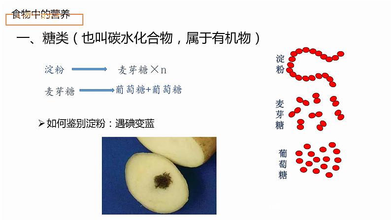 （通用）人体的营养第5页