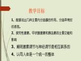 初中生物七下第四节 激素调节 课件（21张PPT）