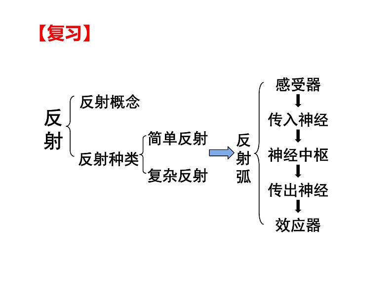 人教版 七下 4.6.4 激素调节课件（33张PPT）01