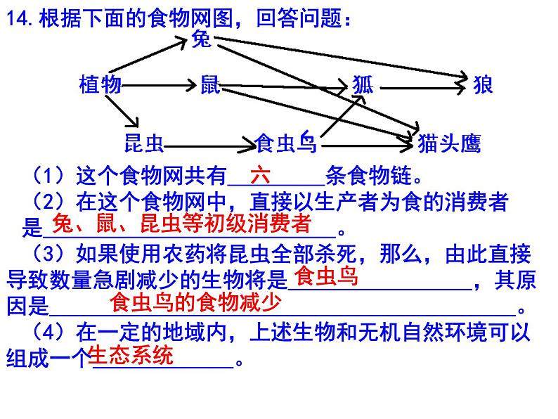 初中生物中考识图课件第2页