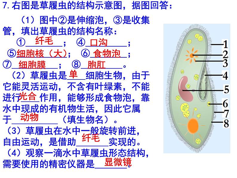 初中生物中考识图课件第7页