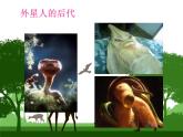 2020--2021学年人教版八年级生物下册 7.3.2 生物进化的历程 课件