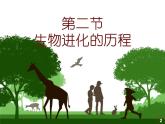 2020--2021学年人教版八年级生物下册 7.3.2 生物进化的历程 课件
