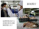 2020—2021学年人教版生物八年级下册 8.1.1传染病及其预防  课件（21张PPT）