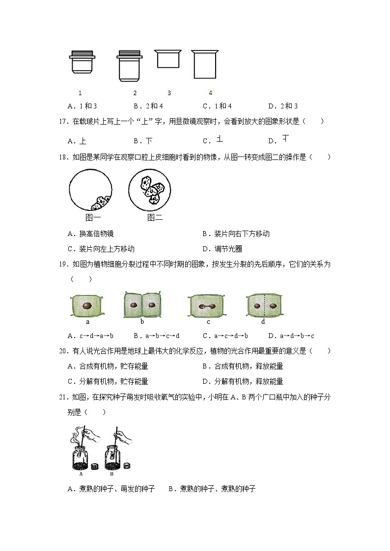 2020-2021学年四川省成都市简阳市简城学区八年级下学期期中生物试卷（word版 含答案）03