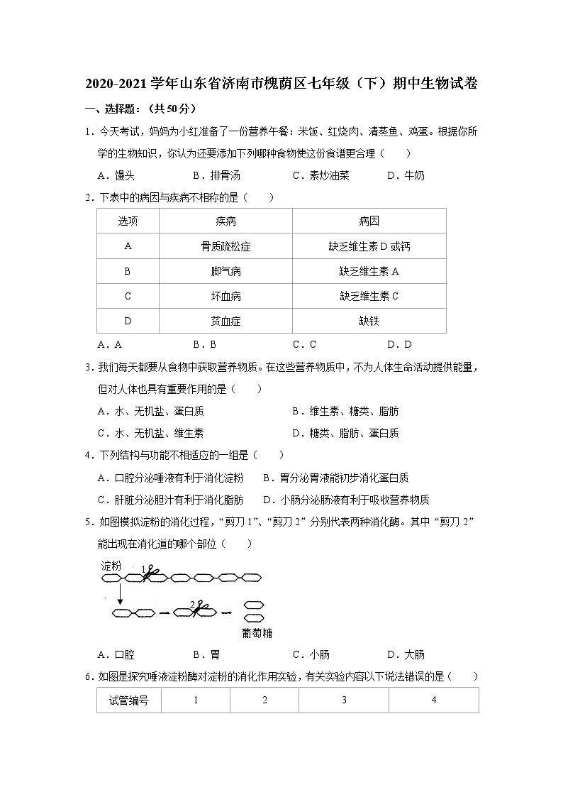 2020-2021学年山东省济南市槐荫区七年级下学期期中生物试卷（word版 含答案）01