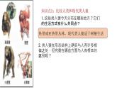 第一节 人的起源和发展 课件