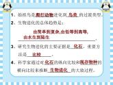 2020-2021学年人教版生物八年级下册7.3.3生物进化的原因课件