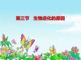 2020-2021学年人教版生物八年级下册7.3.3生物进化的原因课件