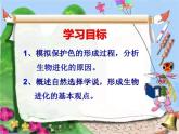 2020-2021学年人教版生物八年级下册7.3.3生物进化的原因课件