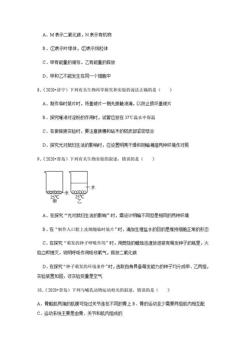 2021年山东省泰安市新泰市生物中考三轮复习冲刺训练卷一（word版 含答案）03