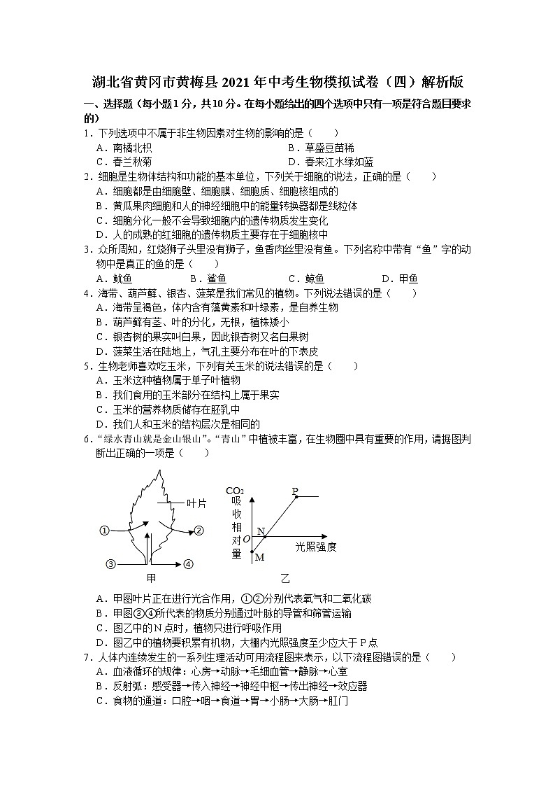 湖北省黄冈市黄梅县2021年中考生物模拟试卷（四）（word版 含答案）01