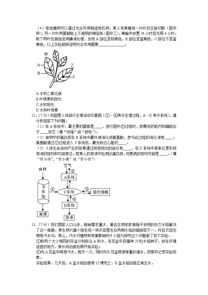 湖北省黄冈市黄梅县2021年中考生物模拟试卷（四）（word版 含答案）03