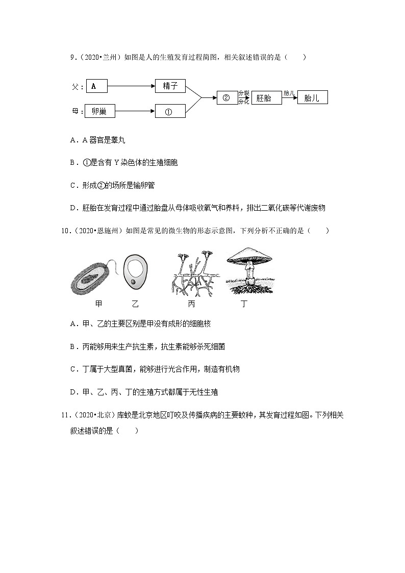 2021年山东省泰安市新泰市生物中考三轮复习冲刺训练卷三（word版 含答案）03