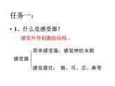 人教版生物七年级下册6.1人体对外界环境的感知  课件（16张PPT）