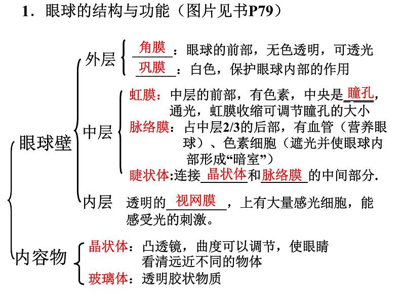 人教版生物七年级下册6.1人体对外界环境的感知  课件（16张PPT）第6页