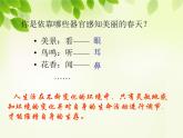 人教版生物七年级下册6.1人体对外界环境的感知   课件（24张PPT）