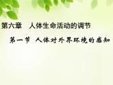 人教版生物七年级下册6.1人体对外界环境的感知   课件（24张PPT）