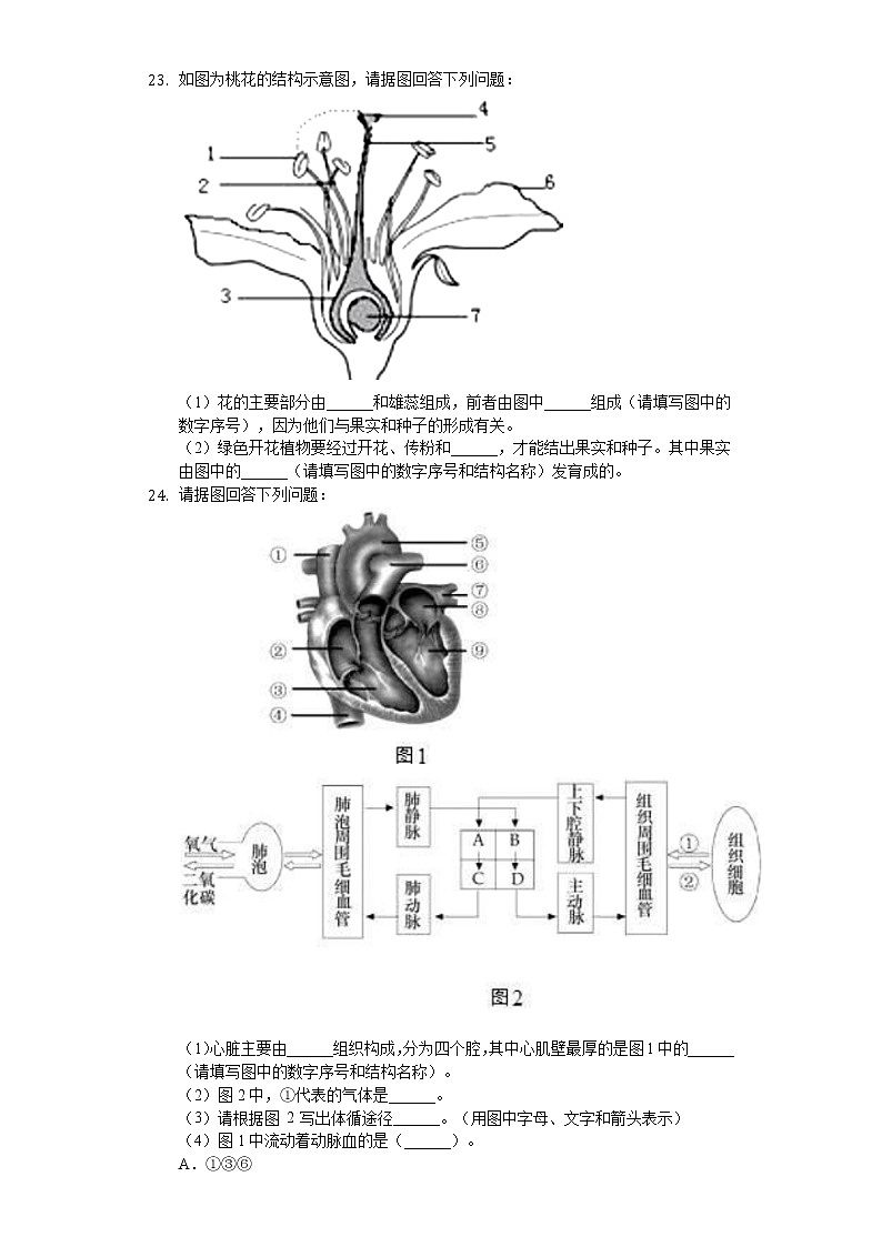 2020年辽宁省沈阳市中考生物试卷03