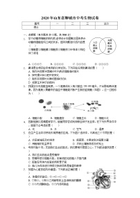 2020年山东省聊城市中考生物试卷